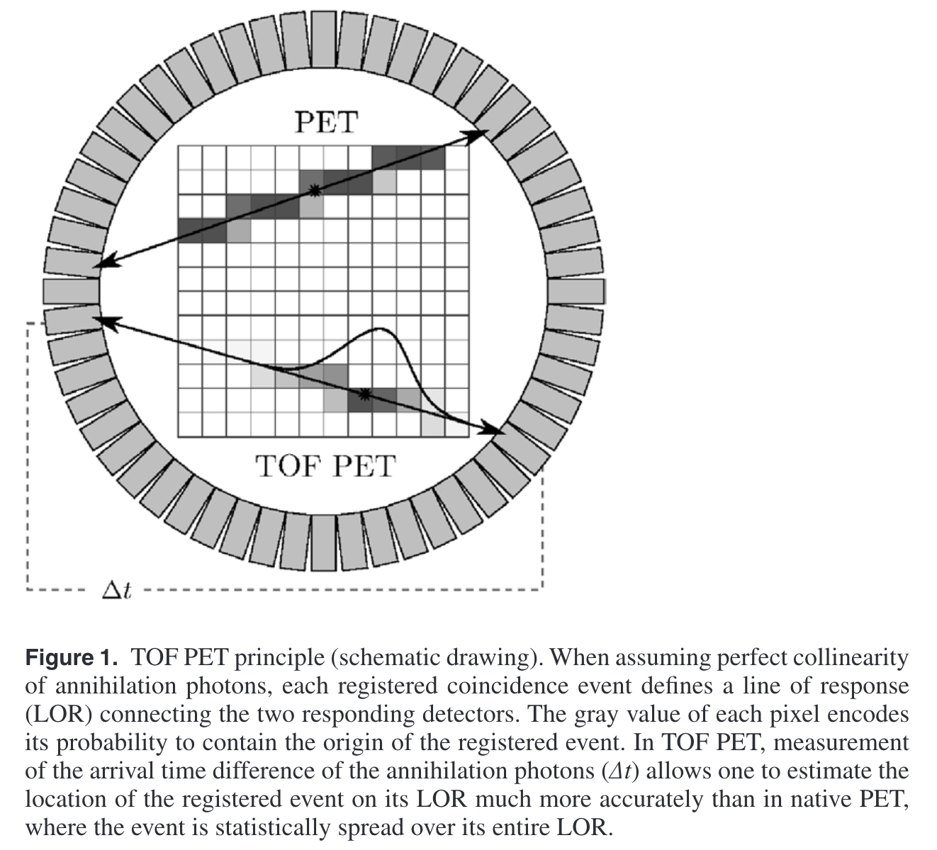 PET Imaging Principle